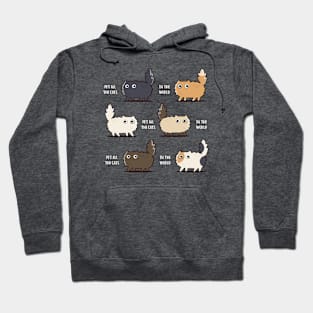 Pet all the cats in the world Hoodie